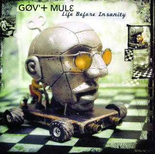 Gov't Mule - Life Before Insanity album cover