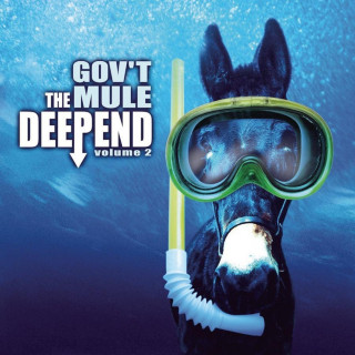 Gov't Mule - The Deep End, Volume 2 album cover