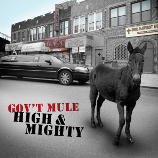 Gov't Mule - High & Mighty album cover