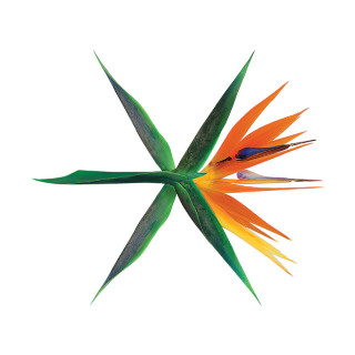 EXO - THE WAR album cover