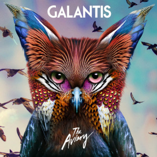 Galantis - The Aviary album cover