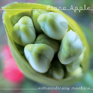 Fiona Apple - Extraordinary Machine album cover