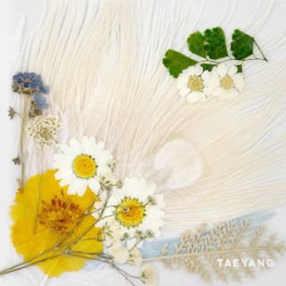 Taeyang - WHITE NIGHT album cover