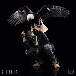 Niska - Zifukoro album cover