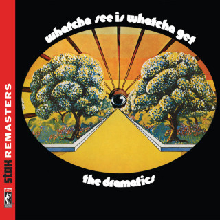 The Dramatics - Whatcha See Is Whatcha Get album cover