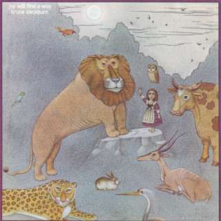 Bruce Cockburn - Joy Will Find A Way album cover