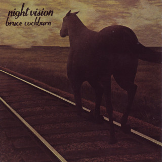 Bruce Cockburn - Night Vision album cover