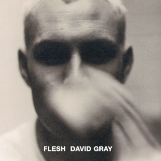 David Gray - Flesh album cover