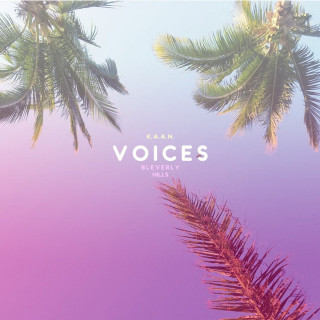 K.A.A.N. & Bleverly Hills - Voices mixtape cover