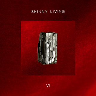 Skinny Living - 6 EP cover