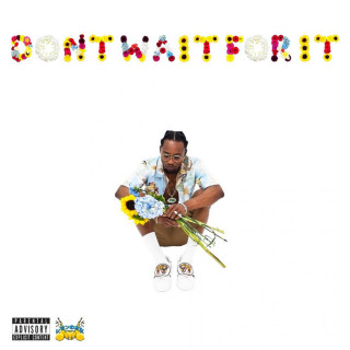 Rob Stone - Don't Wait For It album cover