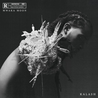 Kalash - Mwaka Moon album cover