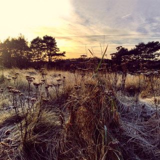 Ane Brun - Leave Me Breathless album cover