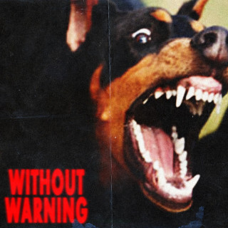 Metro Boomin - Without Warning album cover
