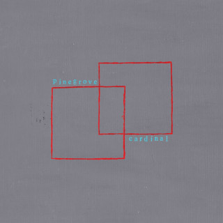 Pinegrove - Cardinal album cover