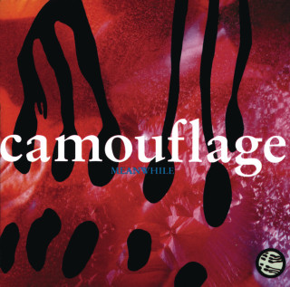 Camouflage - Meanwhile album cover