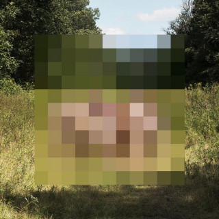 The Hotelier - Goodness album cover