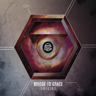 Bridge To Grace - Origins album cover