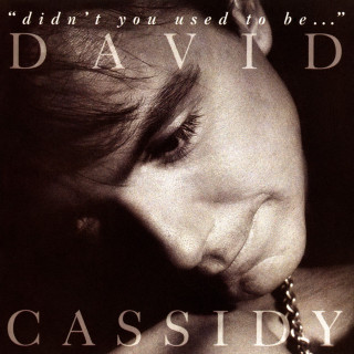 David Cassidy - Didn't You Used To Be... album cover