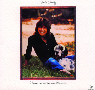 David Cassidy - Dreams Are Nuthin' More Than Wishes... album cover