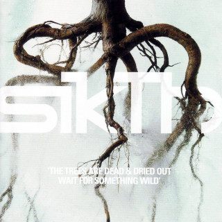 SikTh - The Trees Are Dead & Dried Out, Wait For Something Wild album cover