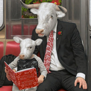 Moby - Everything Was Beautiful, And Nothing Hurt album cover