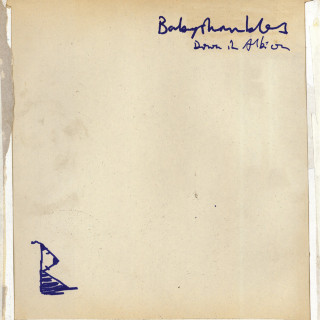 Babyshambles - Down In Albion album cover