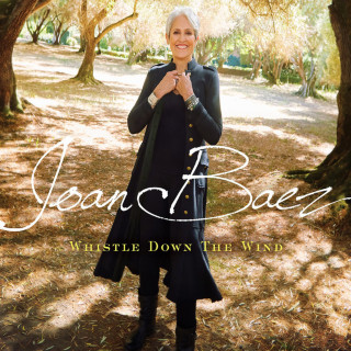 Joan Baez - Whistle Down The Wind album cover