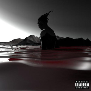 Robb Bank$ - Year Of The Savage album cover