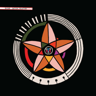 Dr. Dog - Critical Equation album cover