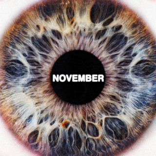 SiR - November album cover