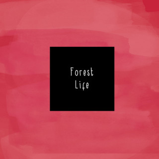 McCafferty - Forest Life EP cover