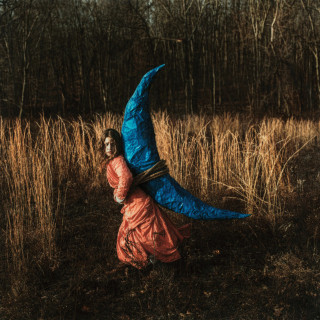 Holly Miranda - Mutual Horse album cover