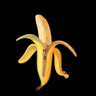 The Dandy Warhols - Welcome To The Monkey House album cover