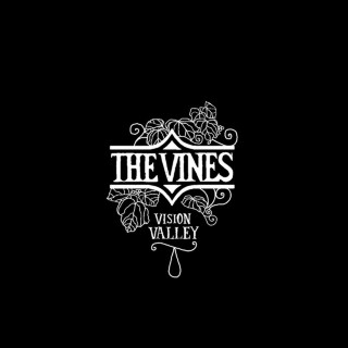 The Vines - Vision Valley album cover