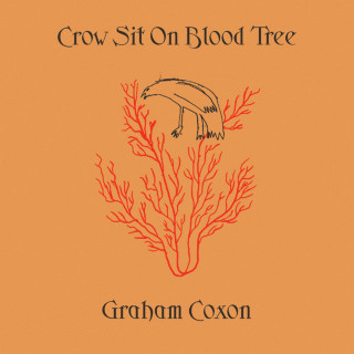 Graham Coxon - Crow Sit On Blood Tree album cover