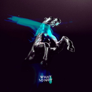 What So Not & San Holo - Not All The Beautiful Things album cover