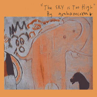 Graham Coxon - The Sky Is Too High album cover