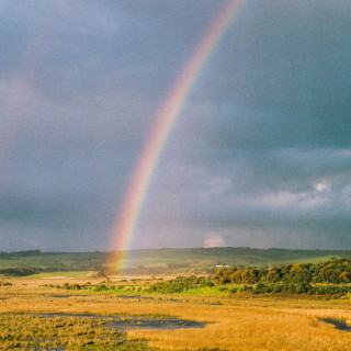 Mallrat - In The Sky EP cover