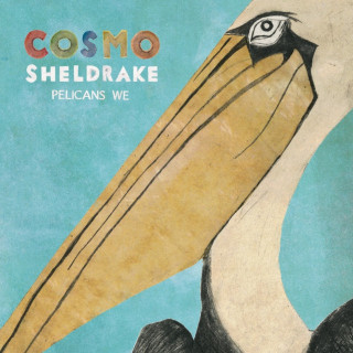 Cosmo Sheldrake - Pelicans We EP cover