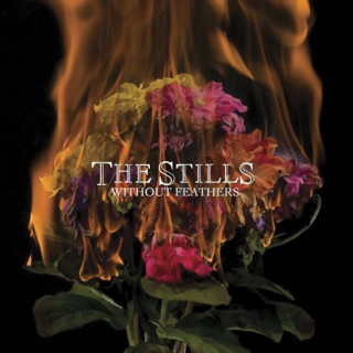 The Stills - Without Feathers album cover