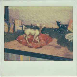 Speedy Ortiz - Foiled Again EP cover