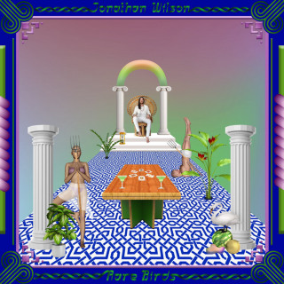 Jonathan Wilson - Rare Birds album cover