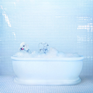 Frankie Cosmos - Vessel album cover