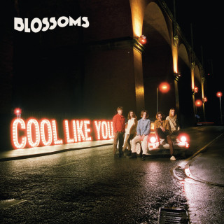 Blossoms - Cool Like You album cover