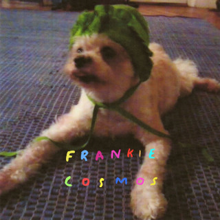 Frankie Cosmos - Zentropy album cover