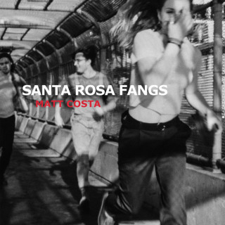 Matt Costa - Santa Rosa Fangs album cover