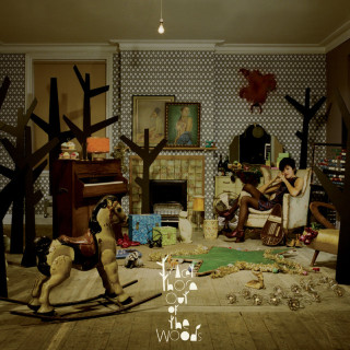 Tracey Thorn - Out Of The Woods album cover