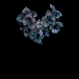 A Lot Like Birds - DIVISI album cover