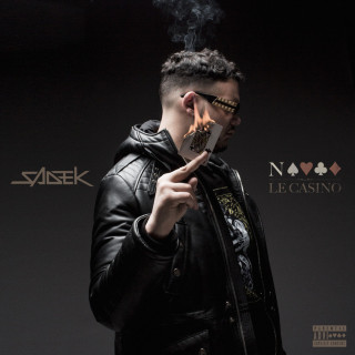 Sadek - Nique Le Casino album cover